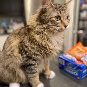 Meet your Posher, Jane